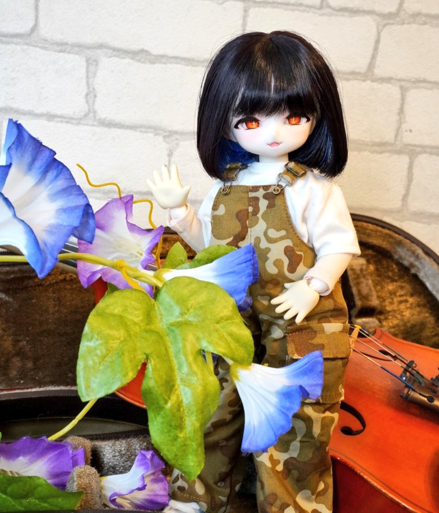 お昼休みに一枚だけドールの写真をはろう 朝顔
