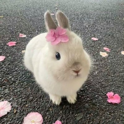 yyumbear's tweet photo. #FotoProfilBaru https://t.co/B1ZEeWwPyD