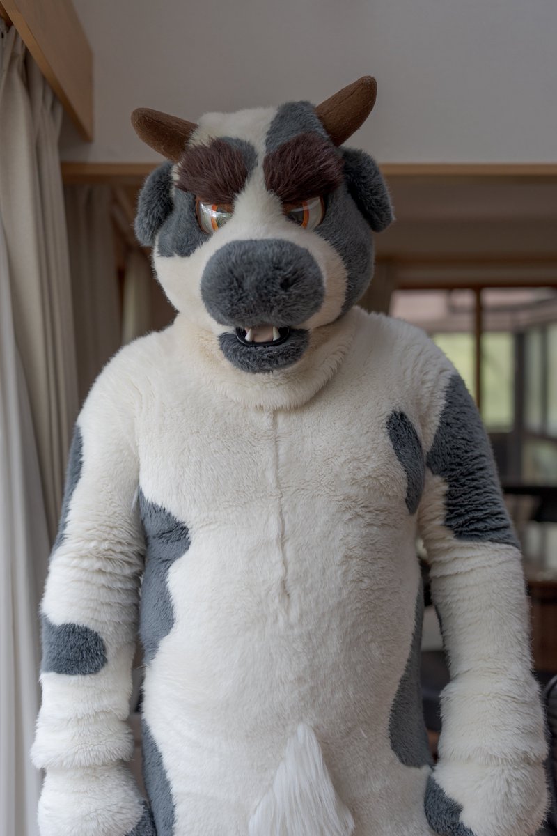 inorin333's tweet photo. なんか、お菓子とかない？
#FursuitFriday https://t.co/abA87yLKx9