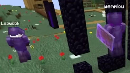 mcytduonames's tweet photo. Geode Duo -- Leow0ok &amp; Wemmbu from Lifesteal SMP and UU https://t.co/8erCXABMXG