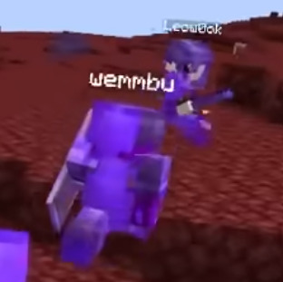 mcytduonames's tweet photo. Geode Duo -- Leow0ok &amp; Wemmbu from Lifesteal SMP and UU https://t.co/8erCXABMXG