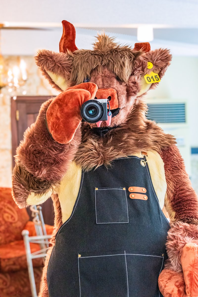 スコット🐂Scott /ものし📸monoshi tweet media