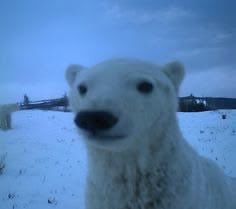 snoopyhoIIander's tweet photo. canadas shane hollander and russias ilya rozanov https://t.co/ZO652TFjmq
