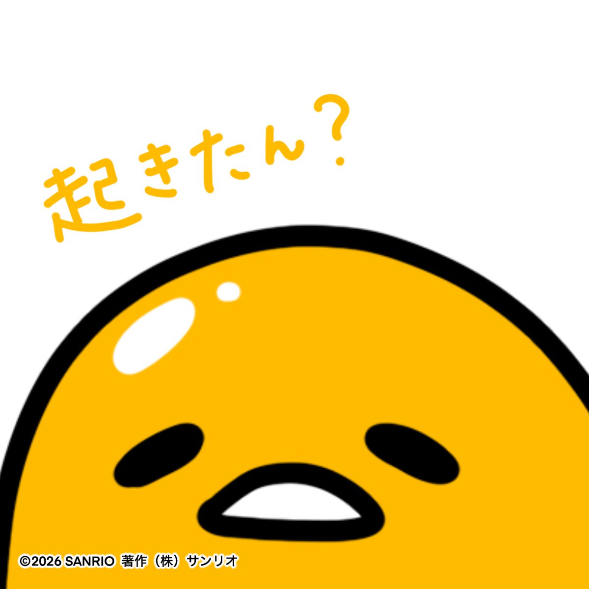 tomominitta's tweet photo. @pinpin_maruko おはようございます。 https://t.co/YkSfKhuGIK