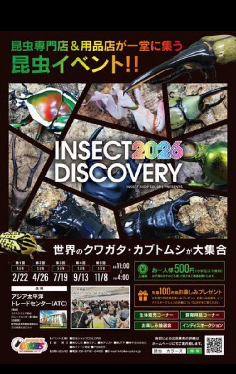 tQEAMCOofE2SEcZ's tweet photo. 7月19日（日）
インセクトディスカバリー出店させて頂きます。
皆様宜しくお願い致します。
国産オオクワガタ
極太血統 初代怪物華王、阿古谷、亀岡
各種ペア　♂♀単品

スマトラオオヒラタ
アチェ大型系、極太系
各種ペア　♂♀単品
各種幼虫販売

インドアンタエウス
各種ペア

クヌギ、ナラ産卵木 https://t.co/hp4cT5NK52