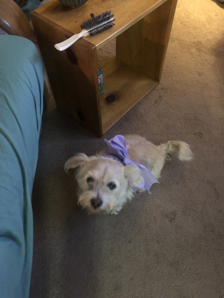 SusanAd94361553's tweet photo. Here’s Annie https://t.co/CtVrqtcUDd