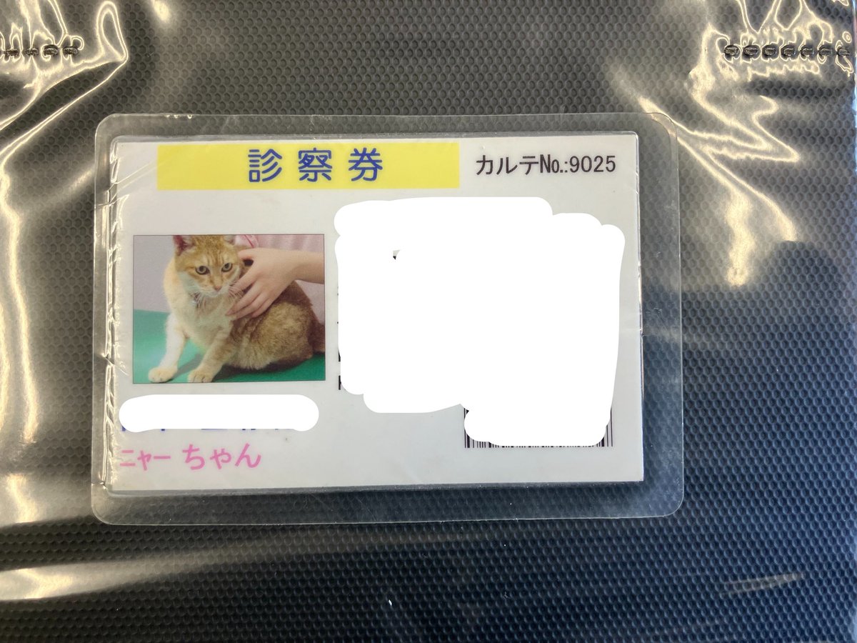 yama@猫飼っています　　修理、連絡ページ ヤマYama (@kazuki7344) / Posts / X