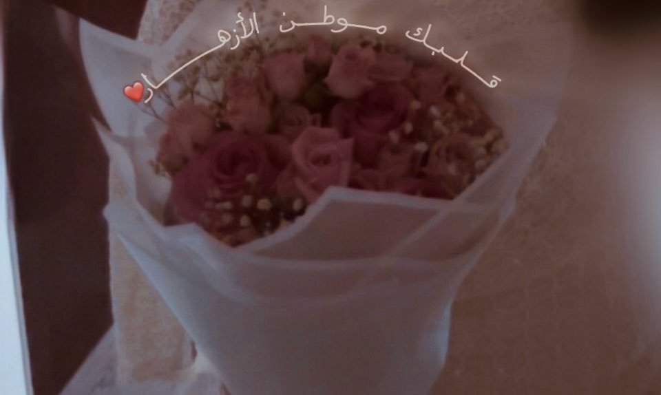 N8kfu's tweet photo. كابتشر الأسبوع☹️ https://t.co/5jn4TnakvQ