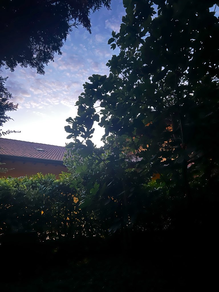 PoldoIlCane's tweet photo. una settimana senza fibra !
nel mondo ci sono problemi più grandi
ma un minuto in giardino con lo smartphone che comunque prende da cazzo per dire che #Fastweb fa cacare posso sempre ritagliarmelo
#buongiornissimo 🥳 https://t.co/hnOPKZTmxo