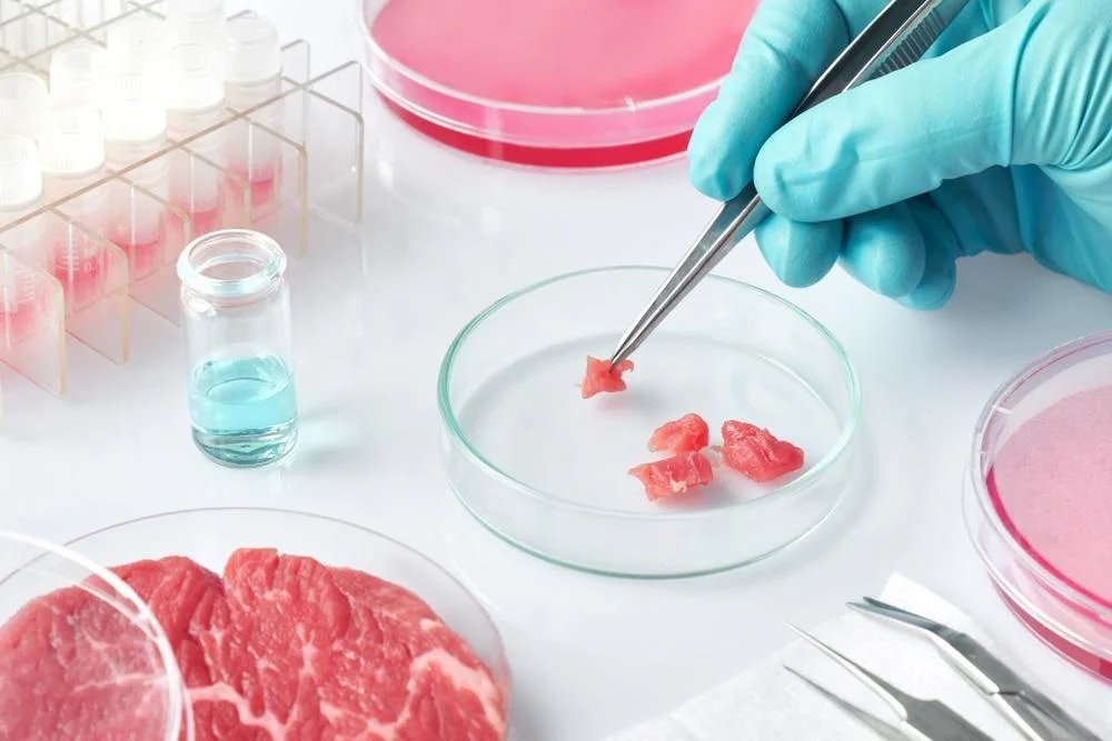 islantstudio's tweet photo. The Massachusetts House recently passed H.5562, an economic development bill, by a vote of 148-2.

One amendment included in the final bill would provide an additional $1 million in state funding for research into plant-based, cell-cultured, and fermentation technologies used to develop alternatives to traditional meat and dairy products, including research related to cultivated meat.

Supporters say investments like these can encourage innovation, expand research opportunities, and help position Massachusetts as a leader in emerging technologies.

Others question whether taxpayer dollars should be used for this type of research, especially when there are many competing priorities for public funding.

If lawmakers are allocating an additional $1 million, would you support funding research into cultivated meat and alternative proteins, or do you think it's better spent elsewhere?

And on a lighter note... would you ever try lab-grown meat?