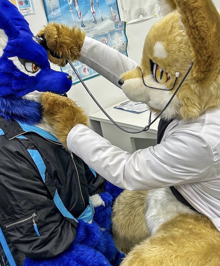 red13nanaki's tweet photo. 先生！
頭が痛いとは言いましたけど、
頭がイタイわけじゃないです！！🐺🩺

📸@2tora_main 

#FursuitFriday 
#ケモノフォーカス https://t.co/BcC7TUGJ8Y