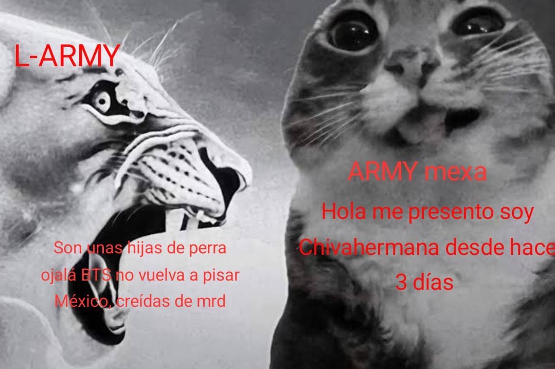 minwhabby's tweet photo. wey contexto por favor jajaja porq la subtrama de la mayoría de las armys mexas es esta https://t.co/GBOqNJ1Y1Q