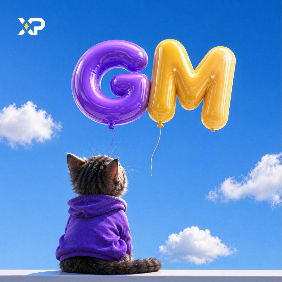 XP 中文 tweet media