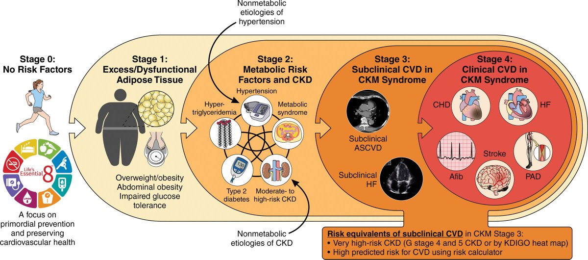 MedChemExpress's tweet photo. 🔥Hot Off the Press | 🚨9 in 10 U.S. Adults May Have This Overlooked Cardiovascular-Kidney-Metabolic Syndrome
#CKM is a continuum linking metabolic risk factors with cardiovascular and kidney disease, rather than a single diagnosis.
CKM syndrome integrates the interconnected biology of:
🩸#Cardiovascular disease
🩺Chronic kidney disease
🍬Type 2 #diabetes
⚖️Overweight and #obesity
💡Understanding the heart–kidney–metabolism axis is becoming increasingly important for both research and clinical care.
#CardiovascularKidneyMetabolicSyndrome #CKMSyndrome #CardiometabolicHealth #Cardiology #CKD #T2D #Endocrinology #Metabolism #DrugDiscovery
