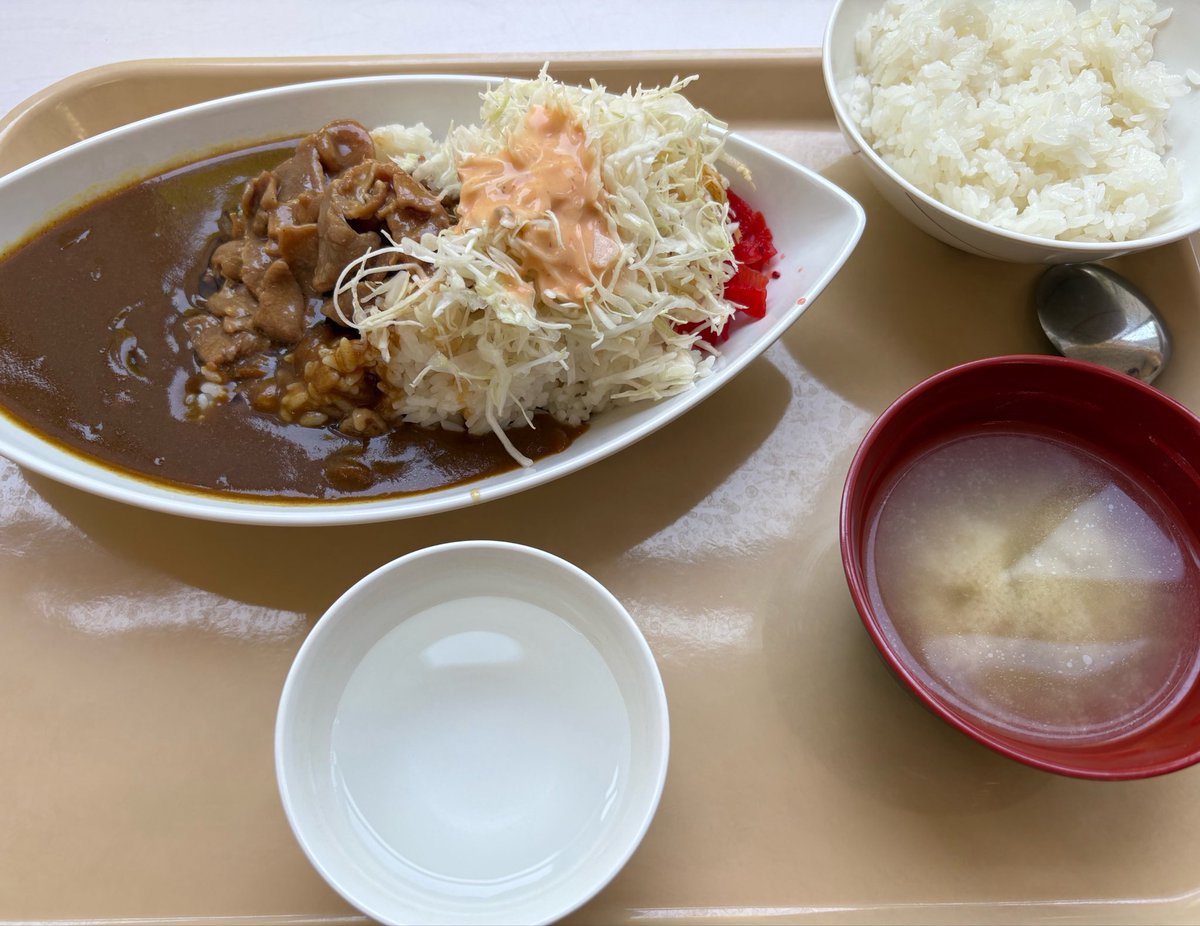 rorigai0902's tweet photo. この後カツカレーになりました https://t.co/xWQf7diUOQ