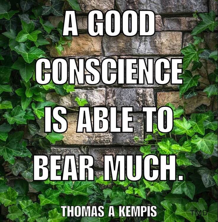 Kuriastep's tweet photo. Much... https://t.co/MmKvKuyBCb