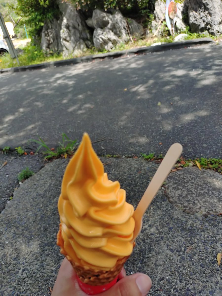 Jun90761104's tweet photo. 色々いただきました😋
どれも美味しかったです。
特に夏みかんソフト、さっぱりしていて大変美味しかったですー。 https://t.co/97nObh74VH