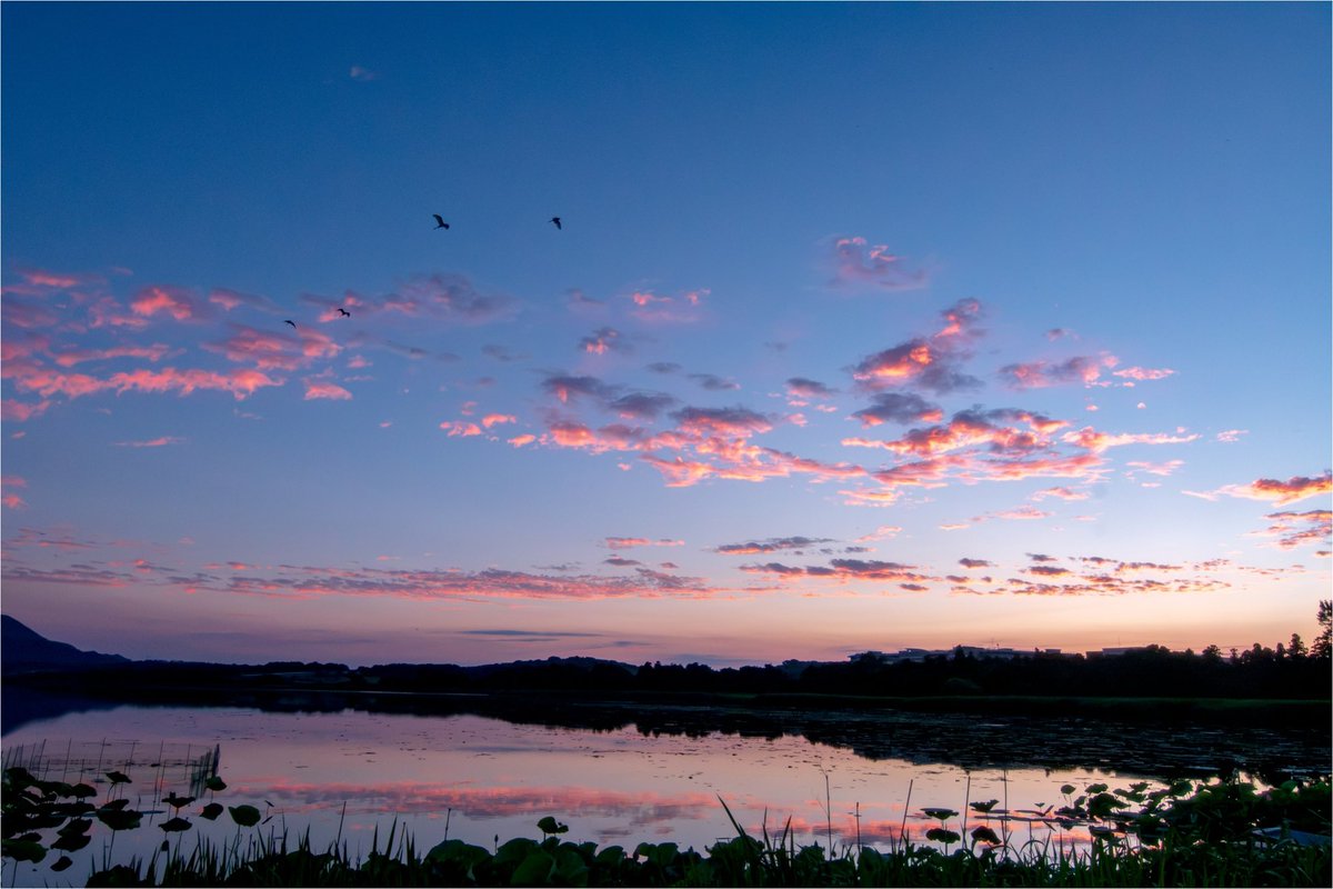 AprilSt2022's tweet photo. 昨日は空が素晴らしく綺麗だったから夕焼けを狙って佐潟行ってきた。
会議で嫌な思いしたからちょうど良い気分転換になった。

それにしても現像するのにもっとPCのスペックが欲しい。 https://t.co/kXPmlLTd90