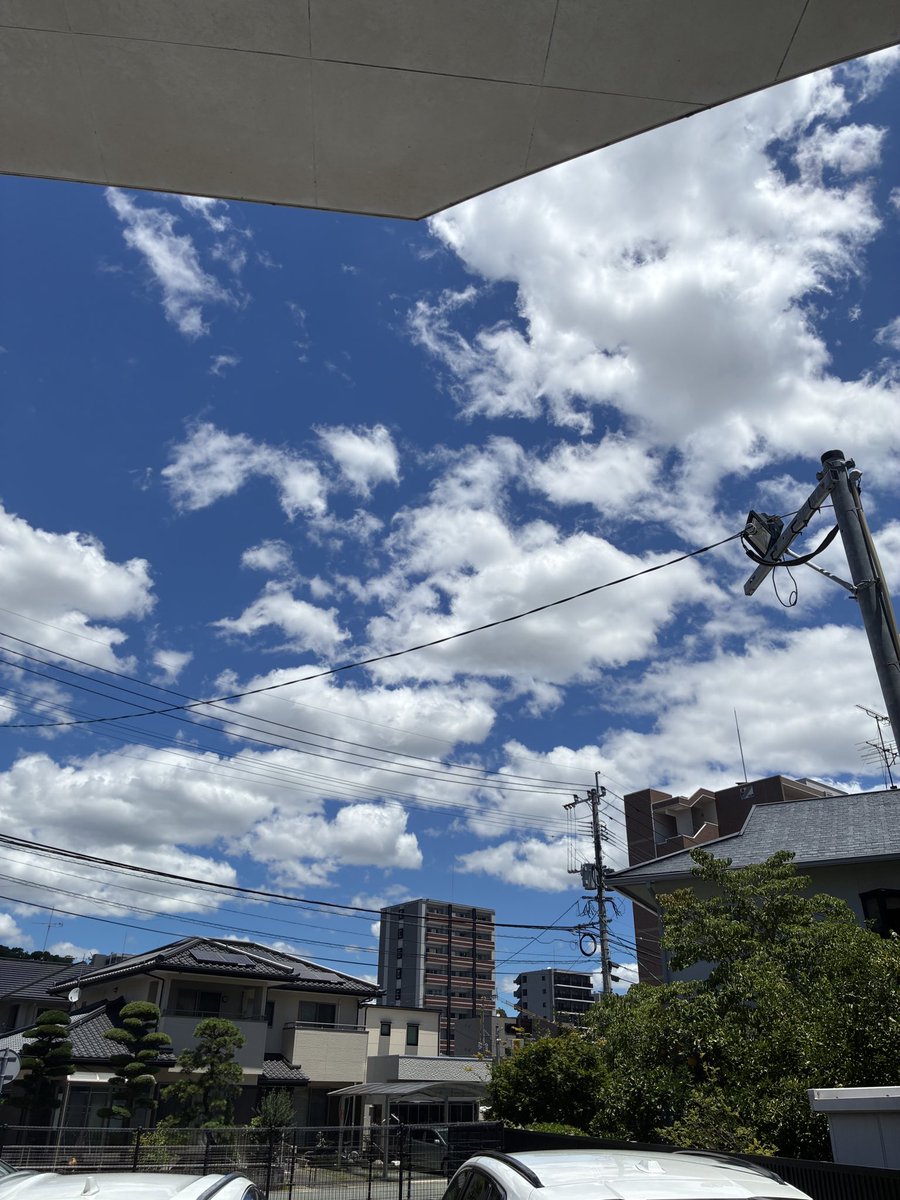 Xandervest's tweet photo. 良いコントラストしてるから撮った https://t.co/4HuX1QeGxp