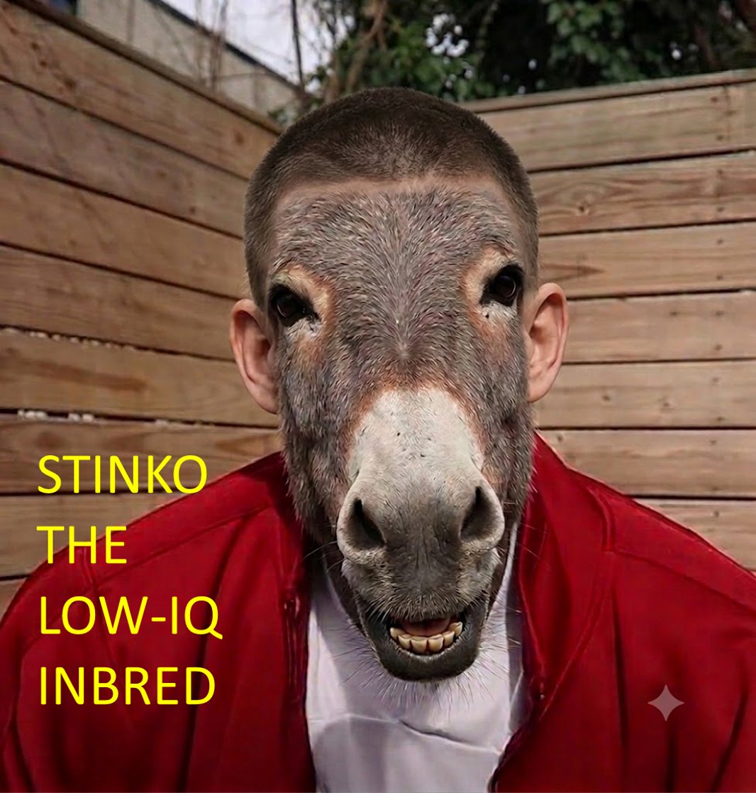 JZ277381's tweet photo. @sneako Have you ever looked at your long donkey face in the mirror, inbred idiot? https://t.co/QJJzzj5iOS