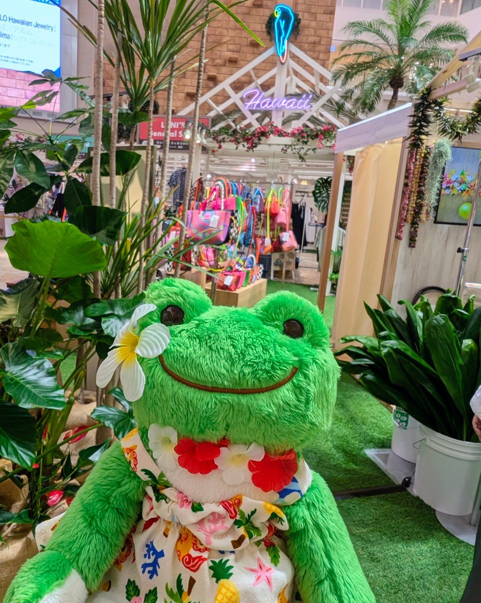 昨日のハワイフェア🏝️ 楽しすぎて今夜も阪急梅田へ…🐸 ホノルル