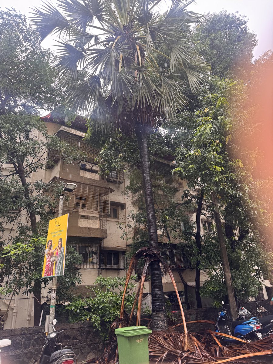 hareshdudhat2's tweet photo. @mybmc RC ward Haridas Nagar Borivali West Nr Vaman Ashram  it’s been 10 days no one come despite make a complains to BMC/Local corporator https://t.co/jxAgYmkwtL