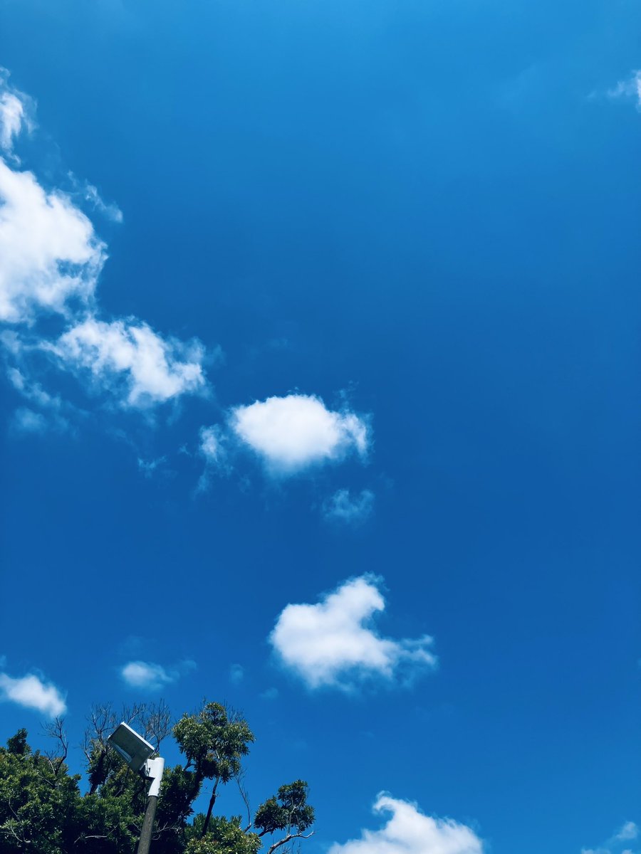 fugaco's tweet photo. いい天気🌞 https://t.co/QI3Mbh3lHy