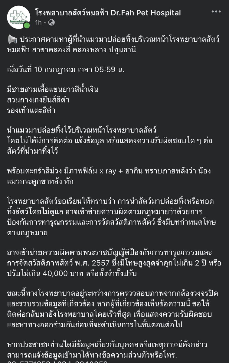 giraffe_hoo's tweet photo. น้องเจ็บอยู่แล้ว ยังเอาปล่อย 💔🐱 ไม่แน่ใจทางเจ้าของแค่เอามาเพื่อรักษาหรืออะไร แต่ รพส.ไม่ได้ข้อมูลติดต่อไม่ได้

ขอแรงทุกคนช่วยกันแชร์ เผื่อข้อมูลจะไปถึงผู้ที่เกี่ยวข้อง และช่วยให้น้องได้หากใครมีเบาะแส ติดต่อโรงพยาบาลสัตว์หมอฟ้า สาขาคลองสี่ 🙏

แล้วน่าตาคือน่ารักชะมัด🥹

#แมว #แมวป่วย #แมวหาย