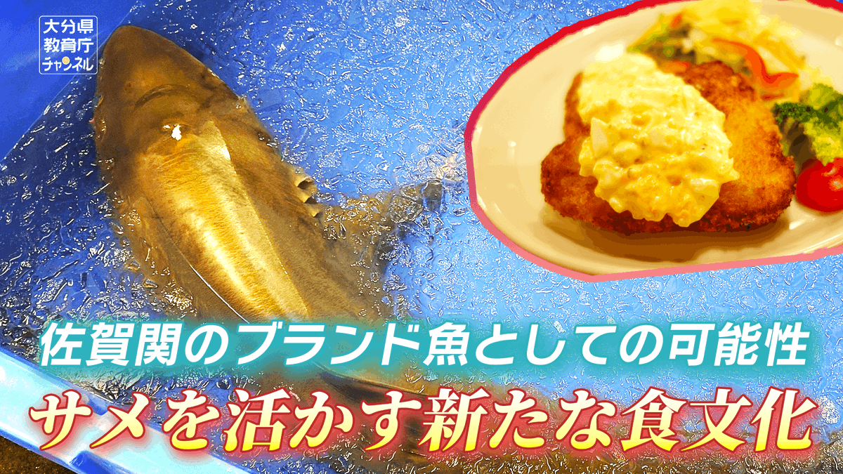 imotinc's tweet photo. 【Works】大分県のYoutube「教育庁チャンネル」にて 「サメを活かす新たな食文化〜佐賀関のブランド魚としての可能性〜」を制作しました🔥
【Youtube】https://t.co/SCwKttquA4
映像制作を行いたい企業自治体様はお気軽にご相談ください📷
#大分県 #映像制作 #動画編集 #企業公式夏のフォロー祭り https://t.co/OIJTEvwjvJ