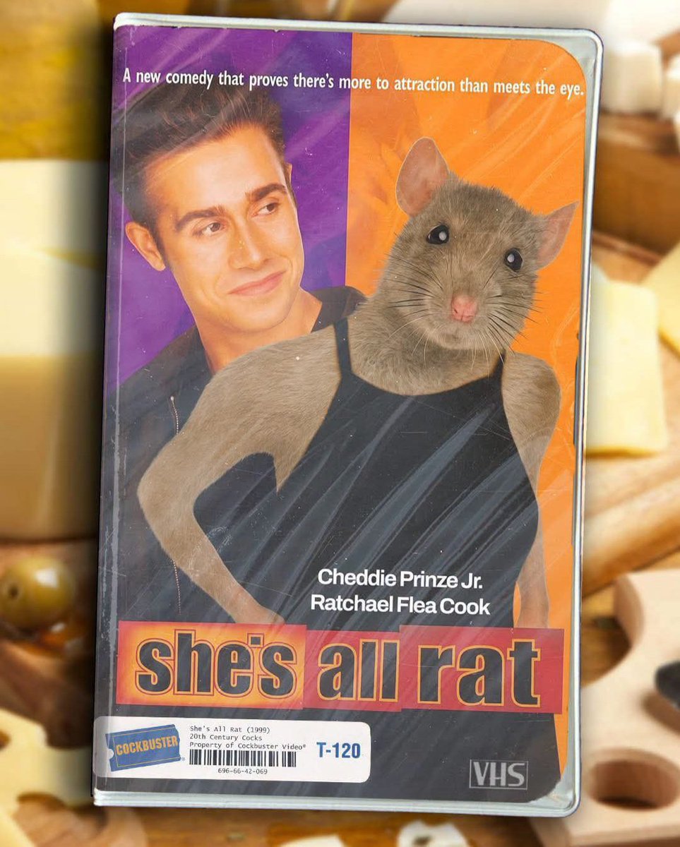 Cinema_Loco's tweet photo. Finally, a reboot worth watching 😤

#cinemaloco #FilmTwitter #FilmX #shesallthat #movie #moviereview #movies #film #filmreview #films #FreddiePrinzeJr #RachaelLeighCook #matthewlillard #PaulWalker #KieranCulkin #GabrielleUnion #1990s #meme #memes #comedy #humor #funny #memepage https://t.co/A7PVlz7iG1