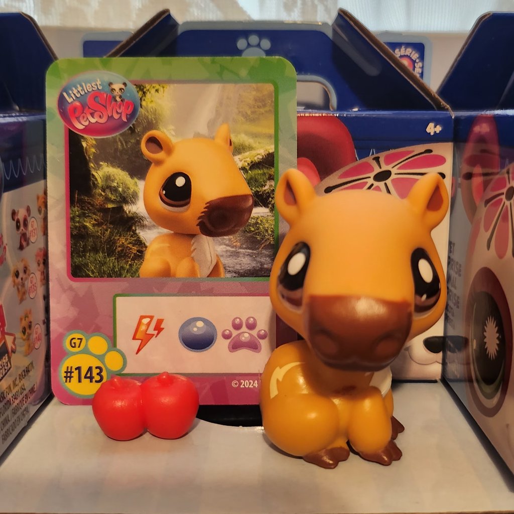 SeallySabel's tweet photo. .𐙚 ̊Day 13 of posting one of my series 3 blind box openings! I got capybara #143!! 🥹 #lpstwt 🐾 https://t.co/s6ehwtiY36