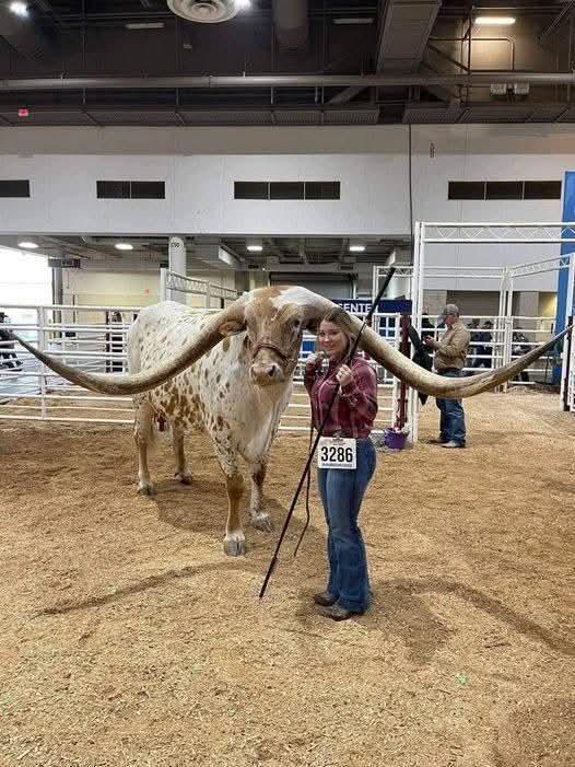 absoluteunits_x's tweet photo. Absolute units of a longhorn
#awesome #big #absoluteunits https://t.co/21zPGKjGD3