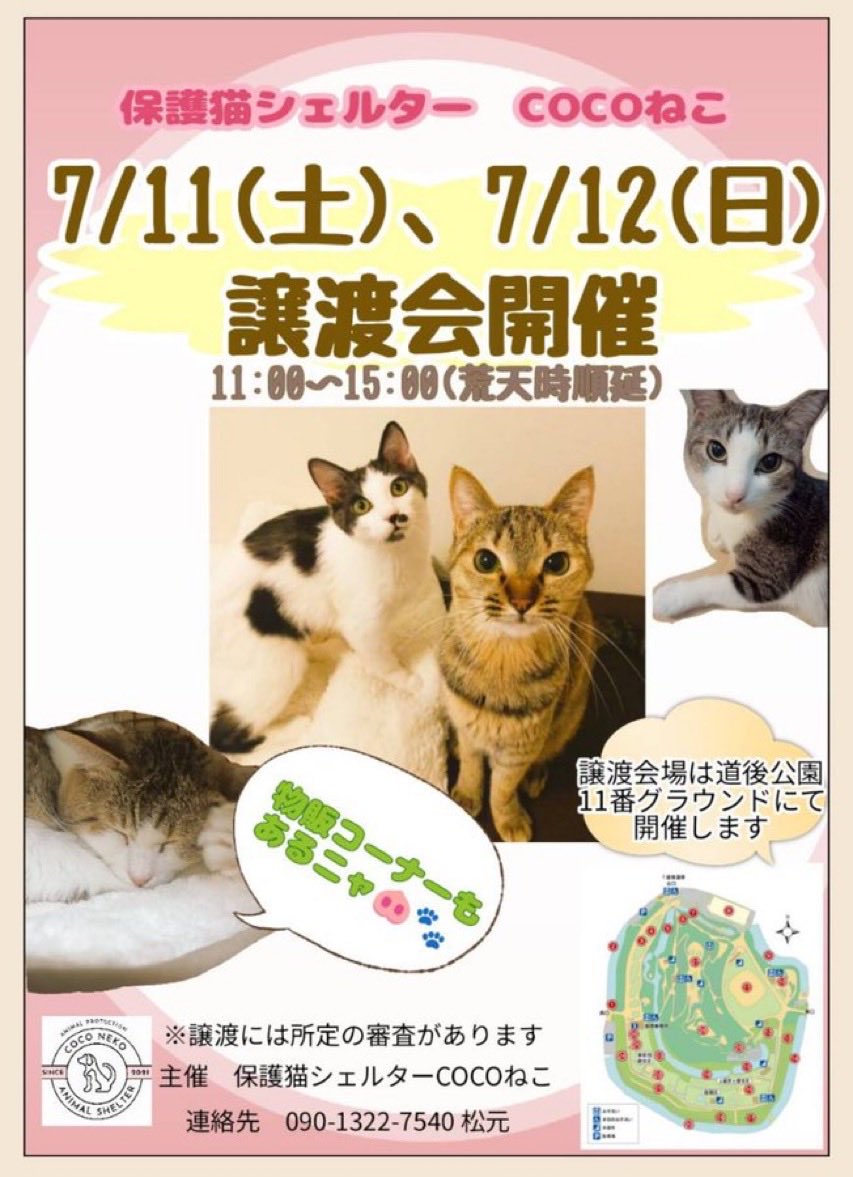 QOO0624's tweet photo. いよいよです😻🥰
ずっとのお家🏠を待つみんにゃ😸😽も、参加されるみにゃ様も幸せに包まれますように(*˘︶˘*).｡.:*♡🍀.*💕✨️✨

#愛媛県松山市
#道後
#譲渡会
#保護猫シェルターCOCOねこ https://t.co/iNplRcSz2M