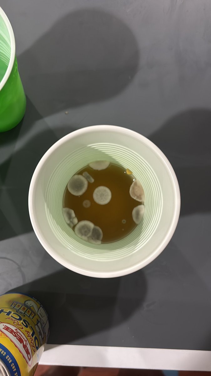 nonchalantchuck's tweet photo. How can you be that that much of a squid https://t.co/Odc9zHpbTG