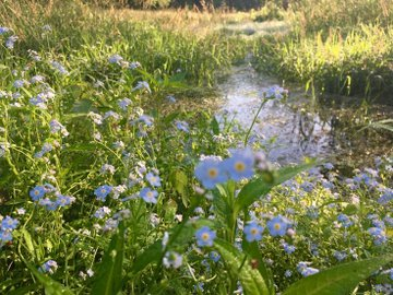 LenzFieldSports's tweet photo. lovely nature. https://t.co/deun1McLoi