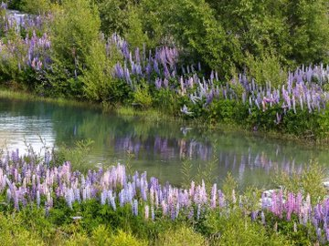 LenzFieldSports's tweet photo. lovely nature. https://t.co/deun1McLoi