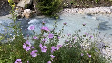 LenzFieldSports's tweet photo. lovely nature. https://t.co/deun1McLoi