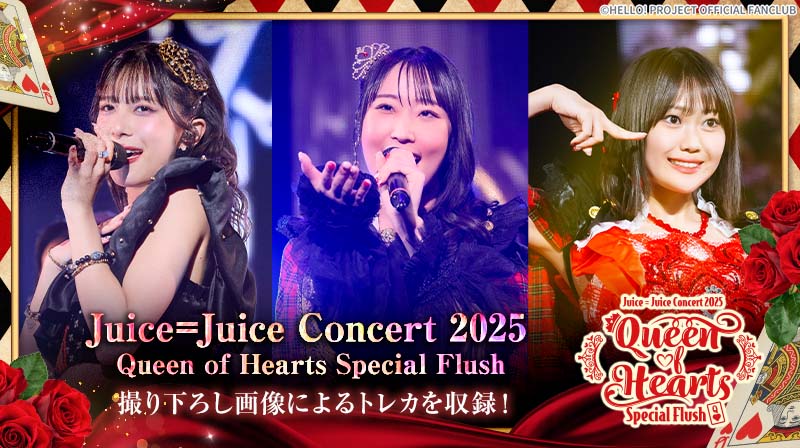 ufi_fc's tweet photo. 「Hello! Projectデジタルコレクション」に新トレカが追加されました！
https://t.co/rF6p56OvYu https://t.co/v2DsH9xryh