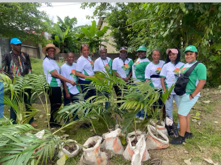 obojoh's tweet photo. @vivalifenatures Growing a Greener Future, One Tree at a Time! 

Viva  Life &amp; Nature Conservative Initiative (VLCI), in collaboration with  fellow Civil Society Organizations (CSOs), continues to champion  environmental sustainability through tree planting activities in Calabar https://t.co/x8Oi8cLbfO