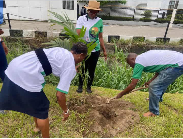obojoh's tweet photo. @vivalifenatures Growing a Greener Future, One Tree at a Time! 

Viva  Life &amp; Nature Conservative Initiative (VLCI), in collaboration with  fellow Civil Society Organizations (CSOs), continues to champion  environmental sustainability through tree planting activities in Calabar https://t.co/x8Oi8cLbfO
