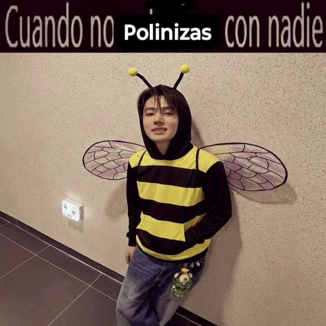 Val_lvsjju's tweet photo. dale eu quiero un grupo de amigos como en los aus dale dale quien quiere soy buena onda lo juro https://t.co/AUIA8RDNPw