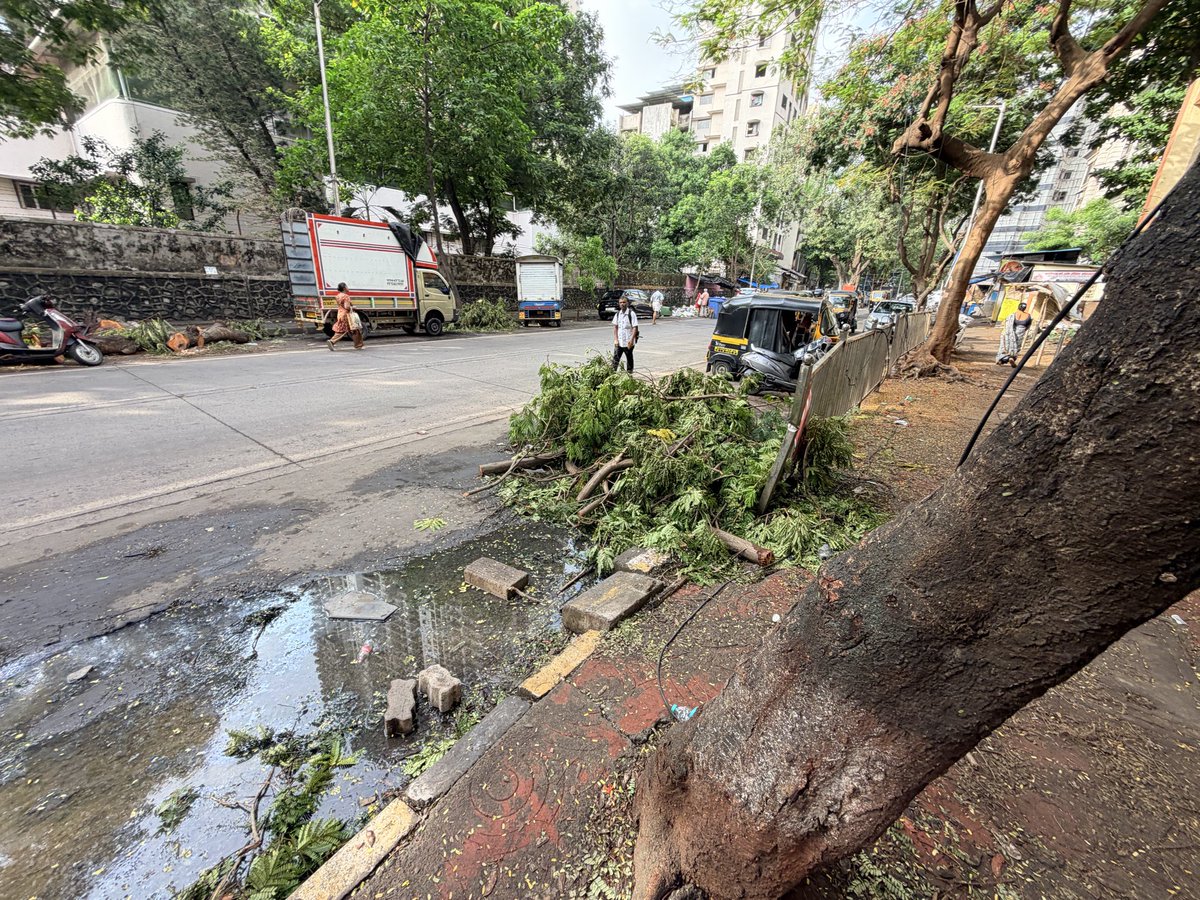 NKhatadia1523's tweet photo. @mybmc @mybmcWardT @mybmchealth @BJPinMulund @mihirkotecha @MulundKi 

Urgent ‼️ Overflowing gutter + uncollected garbage for days. 
Waterlogging + debris #houseofmosquitoes breeding ground  &amp; disease.

Loc: Saidham shopping complex , PK Rd ,Mulund 400080 
19°9′59″ N  72°56′38″ E https://t.co/48Xtp1wkNf
