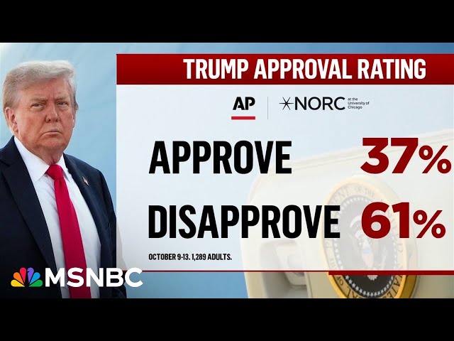 CADesertOwl's tweet photo. @RpsAgainstTrump https://t.co/S77AJvUBz4