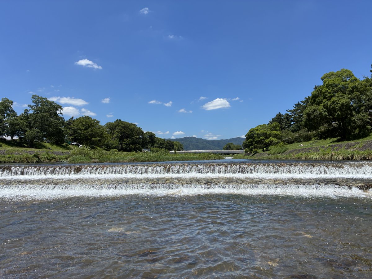CocoBotanic's tweet photo. 今日の賀茂川
飛び石はまだ少し水が多い💦
#京都府立植物園をまもりましょう https://t.co/OiKQksjHw9