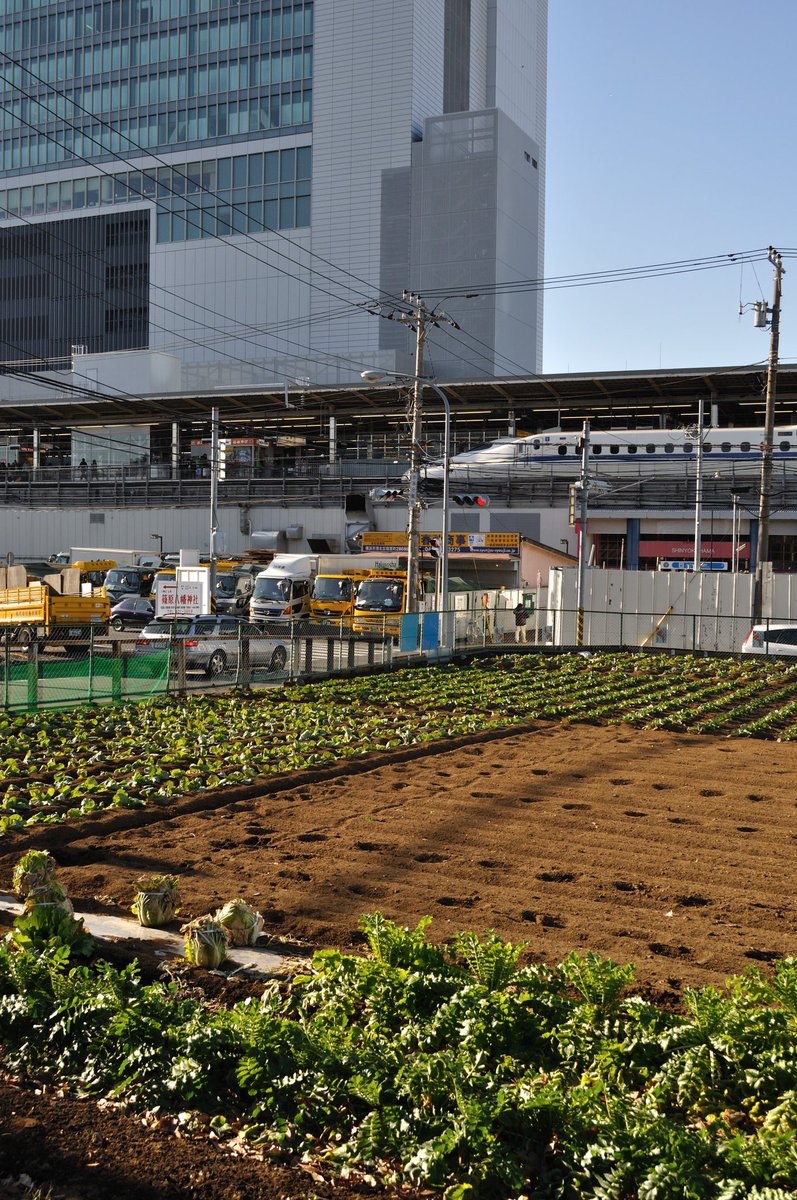 o7_gj tweet picture