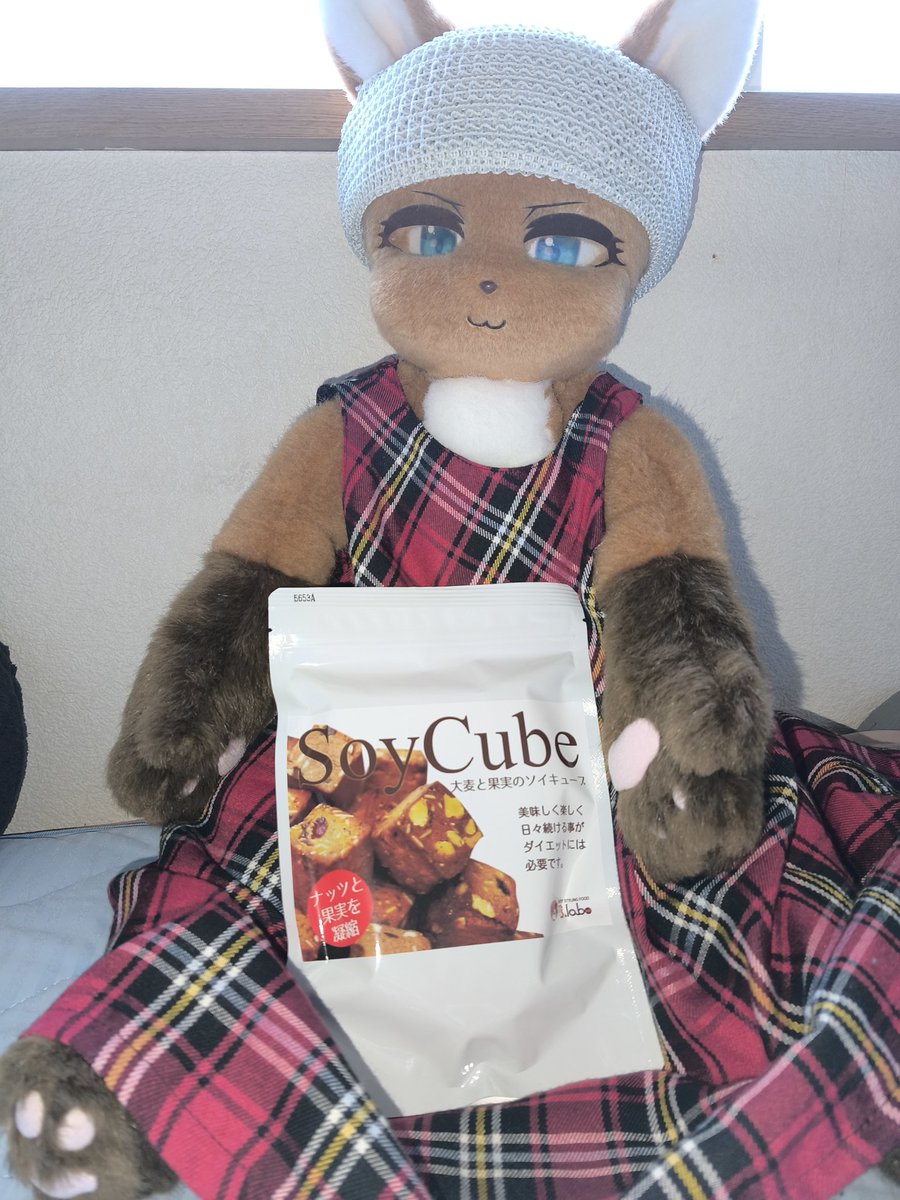 iusMdQDUjNfXZa4's tweet photo. #けものひめ

今回の通販はソイキューブっていうやつです。　行きつけの店では置いてない品ですね。 https://t.co/RxVZik4J5I