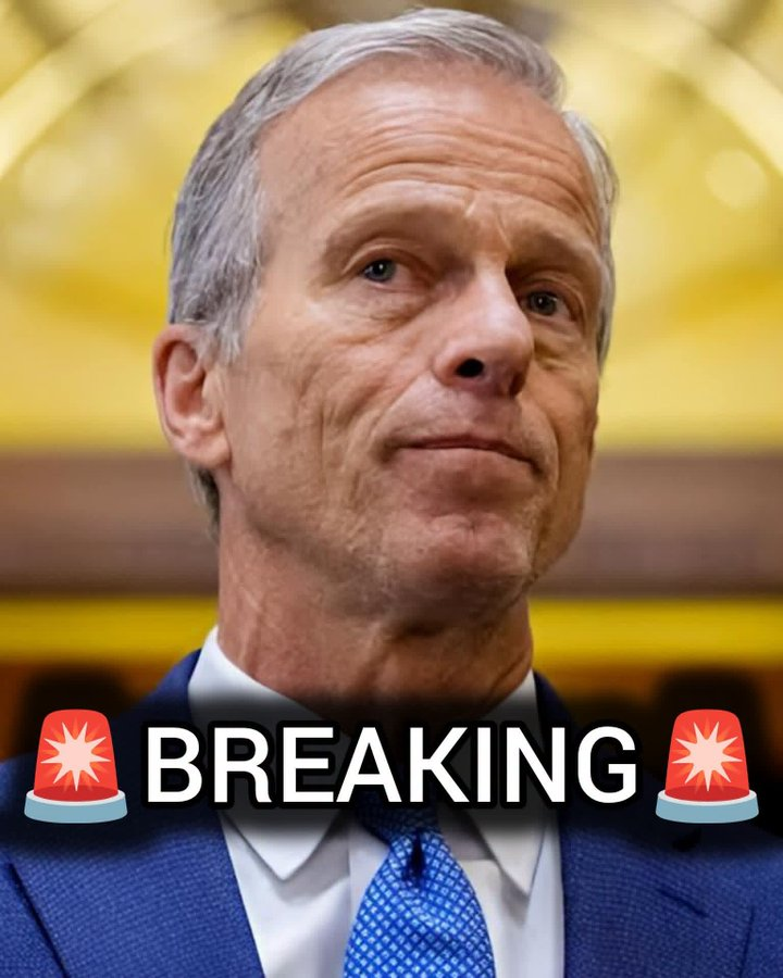 Anne23336wj's tweet photo. BREAKING: Sen. John Thune reportedly took $1.58M from the Illegal-Labor Lobby pushing amnesty. That’s why he won’t force the SAVE Act to the floor. A new website has launched to hold him accountable. https://t.co/pHfG69PiZt