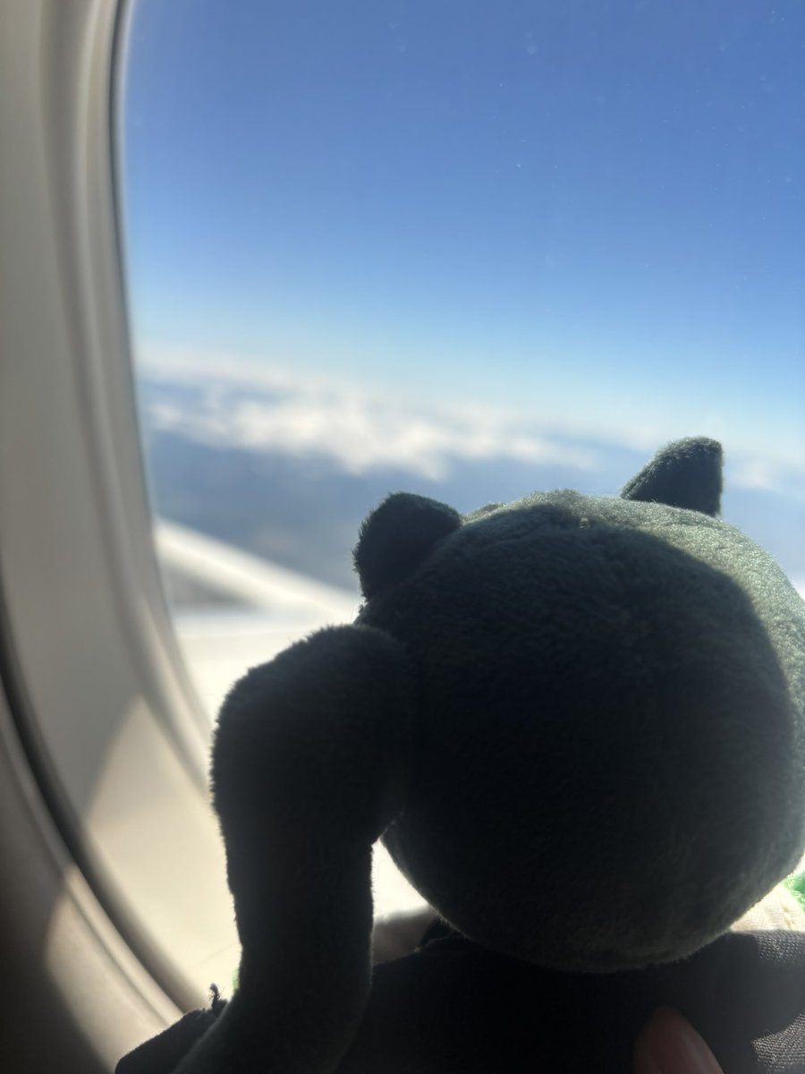 ちとぬいと空の旅 ちとぬいと空の旅