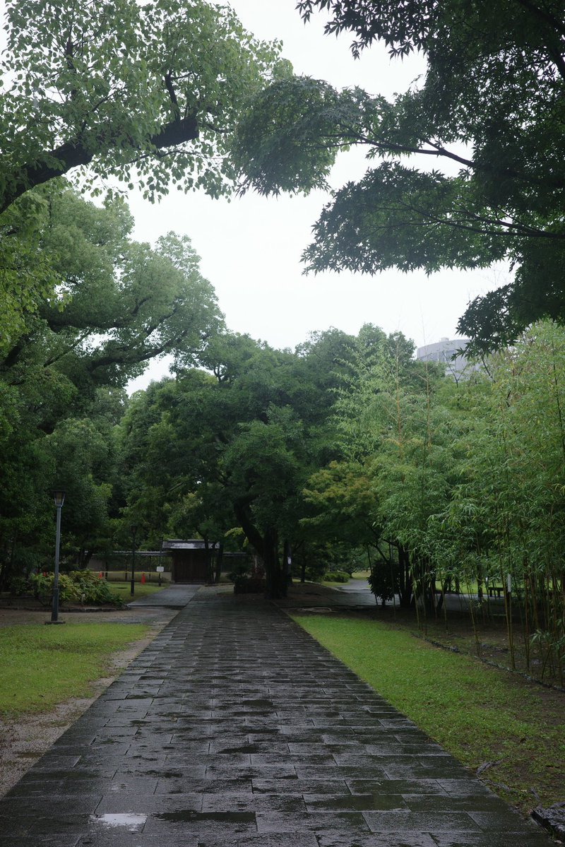 kiligof__'s tweet photo. ☂️
通り過ぎた梅雨 https://t.co/YLf416TU2F