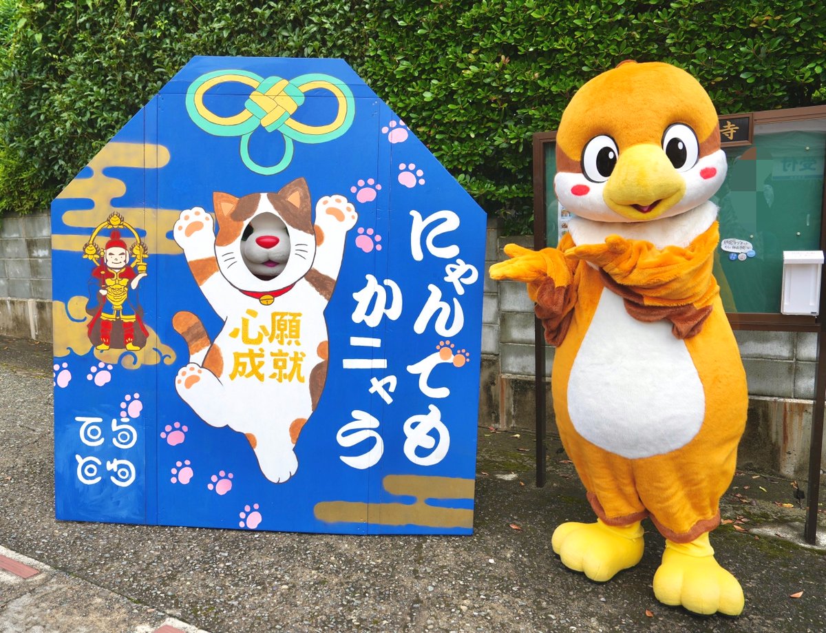 Chunta_patapata's tweet photo. ちゅんちゅん！
パネルの中にいるのはだれだちゅん？ https://t.co/SmbSUtSjyj